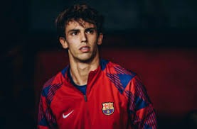 贺希宁砍职业生涯新高 深圳队主场力克广东队