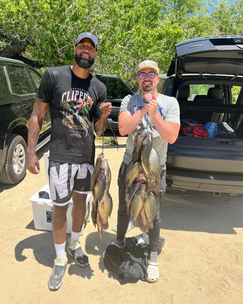 参赛队伍都 参赛队伍都