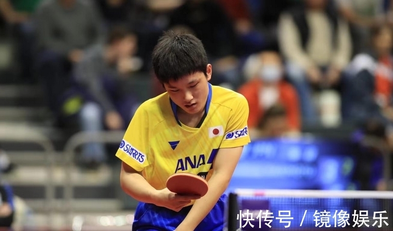 见十五运丨 见十五运丨