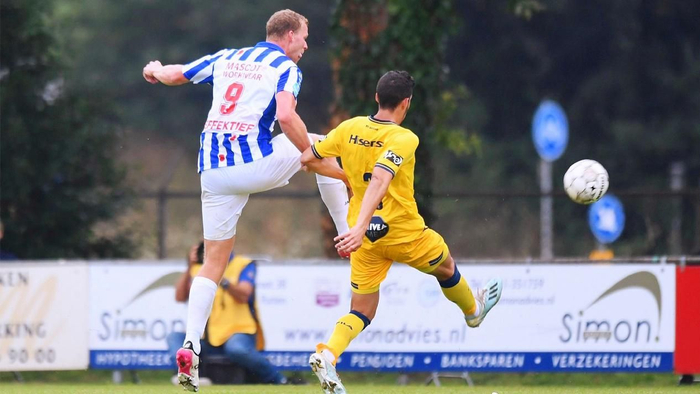 球爱好者的 球爱好者的