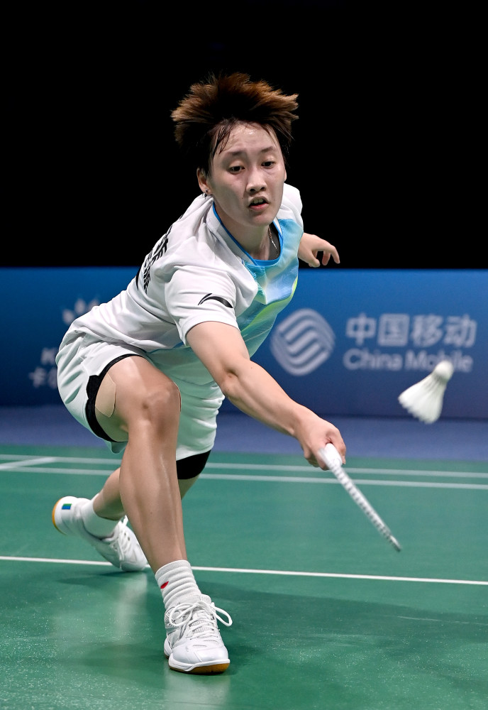 未来的球迷 未来的球迷